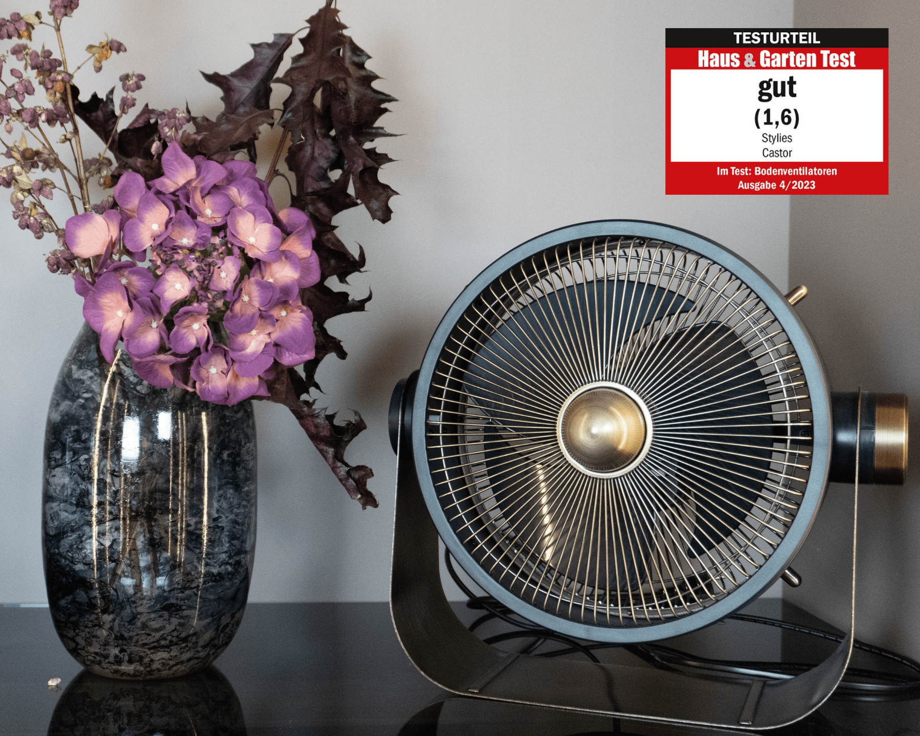 koenig-alassio-castor-bodenventilator-anthrazit-metall-leise image 2