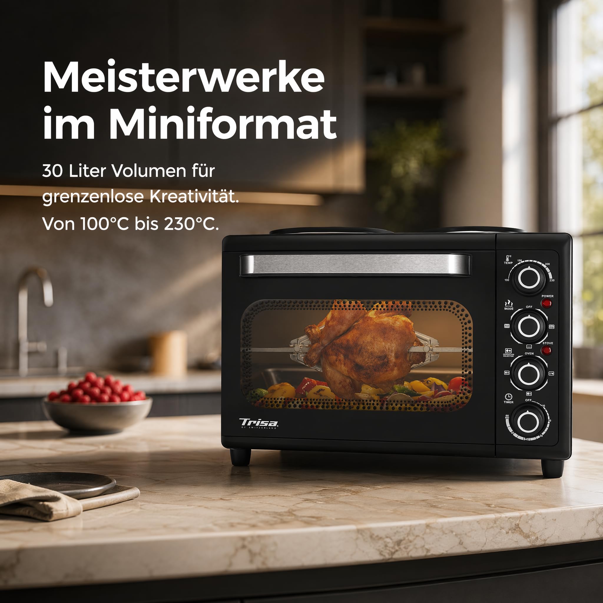 trisa-pizza-mio-minibackofen-30l-mit-kochplatten image 6